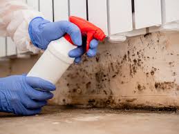 Best Black Mold Removal  in North Lakeport, CA